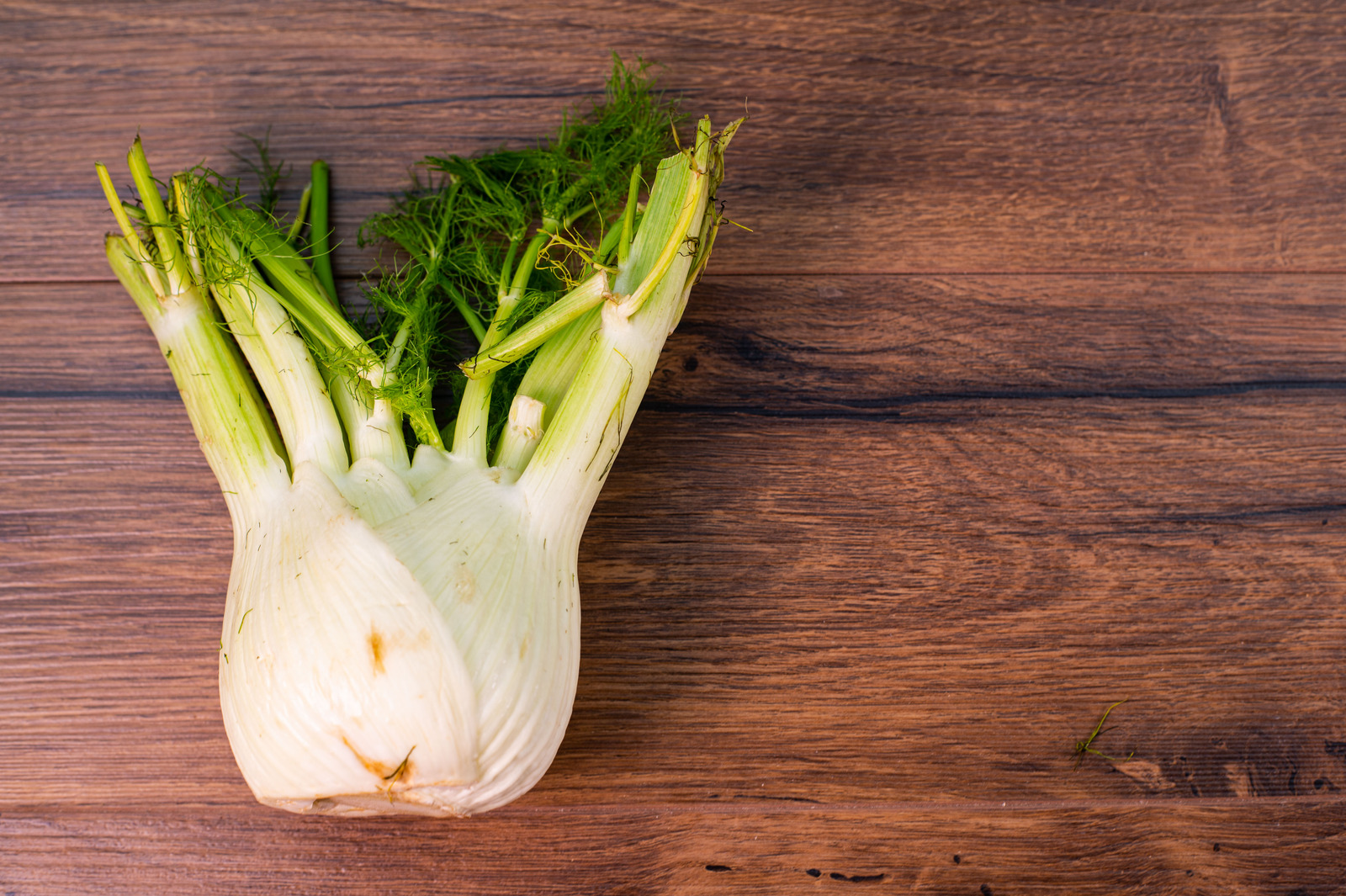 Fennel Elevate your cooking game — The Doctors Kitchen